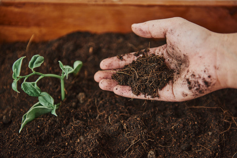 Was ist Living Soil?